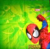 Spiderman fond vert PM