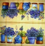 Lavande et autres fleurs bleues