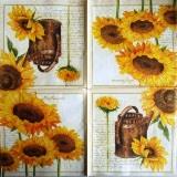 Tournesols et arrosoir