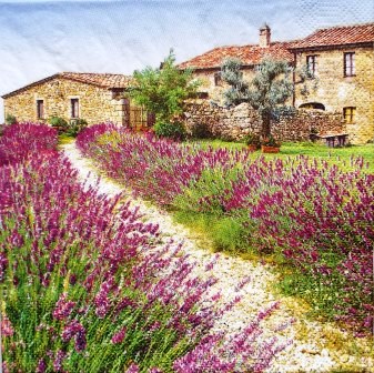 Champ de lavande et maison provençale