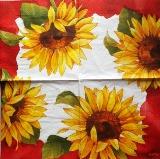 Grands tournesols